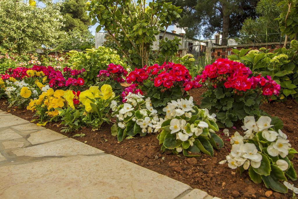Apartments Hortensia Пула Екстер'єр фото